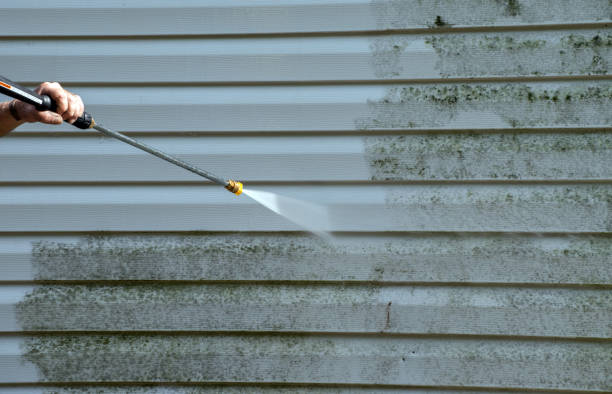 Animal Enclosure Cleaning in Ferrysburg, MI