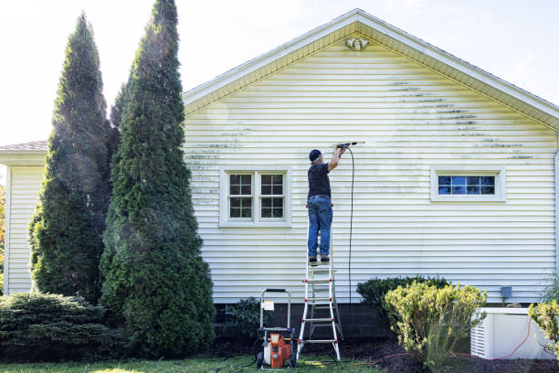 Best House Exterior Washing  in Ferrysburg, MI